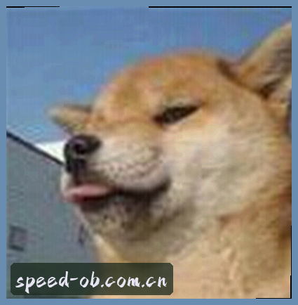 张涛